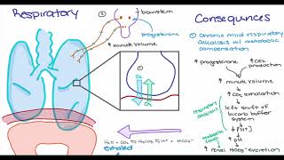 Maternal Changes in Pregnancy [upl. by Lengel]