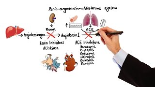 Pharmacology  HYPERTENSION amp ANTIHYPERTENSIVES MADE EASY [upl. by Cacia]