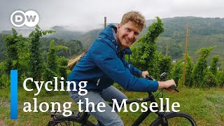 Cycling along the Moselle River  From TrabenTrarbach to Cochem  A Day at the Moselle River [upl. by Annoif]