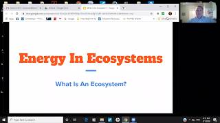 5th Grade  Science  What is an Ecosystem [upl. by Ackley]