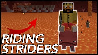 How To Ride Striders In Minecraft [upl. by Lepper]