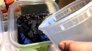 How to hatch killifish eggs [upl. by Germaine653]