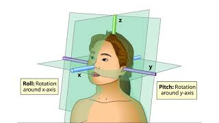 The Vestibular System [upl. by Sihonn]