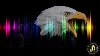 Cinematic Eagle Cry Sound Effect [upl. by Roarke852]