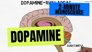 2Minute Neuroscience Dopamine [upl. by Baggs]