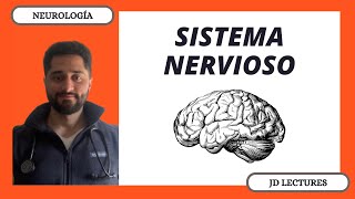 GENERALIDADES DEL SISTEMA NERVIOSO  NEUROLOGÍA [upl. by Amorete8]