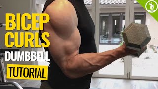 Bicep Curls — DUMBBELL FORM amp TECHNIQUE [upl. by Haduhey]