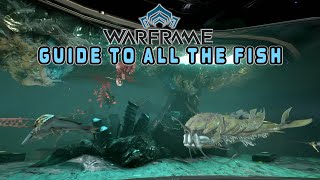 Warframe Fishing Guide  Plains of Eidolon Fortuna amp Cambion Drift  All the Fish amp Details [upl. by Aicinod18]