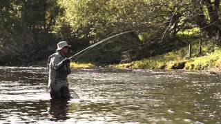 Grayling fly fishing Part 1 Nymphing [upl. by Oilegor]