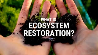 What is ecosystem restoration [upl. by Konstantin]