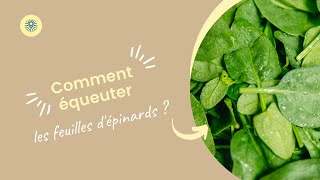 Comment équeuter des feuilles dépinards [upl. by Zetnauq70]