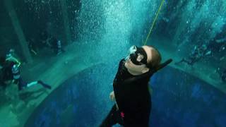 Freediving im Dive4Life Tauchturm Siegburg 2020  Deutschlands tiefster Pool [upl. by Materi]