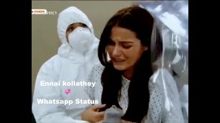 whatsapp status dekhe aur kisi ko pata bhi na chala  see other status without knowing  2020 [upl. by Khalsa]