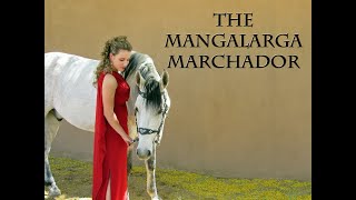 THE MANGALARGA MARCHADOR  THE NATIONAL HORSE OF BRAZIL [upl. by Ain]