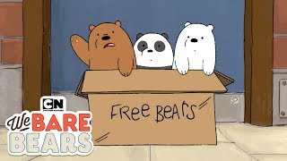 We Bare Bears  Potty Time Hindi  Minisode  Cartoon Network [upl. by Anirrok]