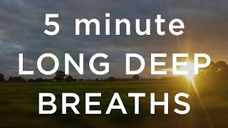 5 Minute Long Deep Breaths [upl. by Enialem]