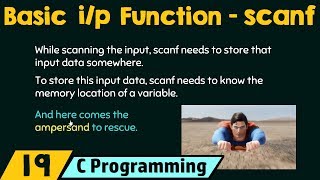 Basic Input Function – scanf [upl. by Amsirak16]