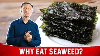 What is Seaweed – DrBerg Explains Roasted Seaweed Benefits [upl. by Eilahs]