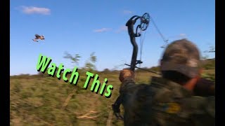 Bowhunting the Fastest Game Birds Alive Ducks Doves Grouse and Parakeet [upl. by Bannasch]