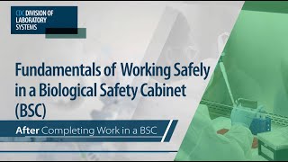 Fundamentals of Working Safely in a Biological Safety Cabinet BSC Completing Work in a BSC [upl. by Arrak]