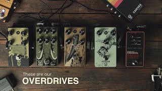 Walrus Audio Overdrive Comparison [upl. by De]