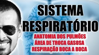 Sistema Respiratório  Anatomia dos Pulmões e RCP  Fisiologia  VideoAula 027 [upl. by Nilam71]