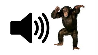 Monkey  Sound Effect [upl. by Swope]