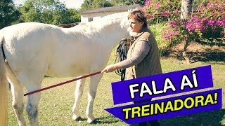 O que fazer quando o CAVALO dá COICE [upl. by Fan]