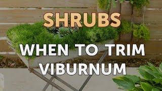 When to Trim Viburnum [upl. by Hullda]