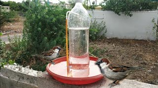 Automatic Watering system for birds  Water for birds [upl. by Adlitam]