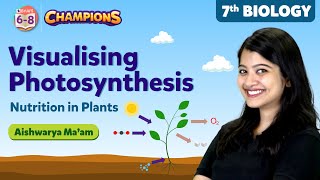 Photosynthesis Experiments  Nutrition in Plants Class 7 Science  BYJUS  Class 6 7 amp 8 [upl. by Ocinemod96]