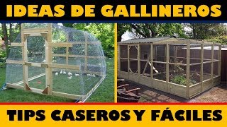 Las Mejores Ideas para hacer Gallineros  Tips Caseros [upl. by Caffrey638]