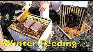 Feeding Bees for Early Spring Buildup [upl. by Neirual]