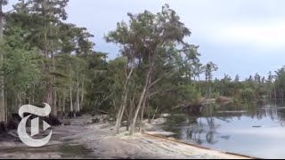 Sinkhole in Louisiana Swallows Trees  Caught on Tape 2013  The New York Times [upl. by Leia]