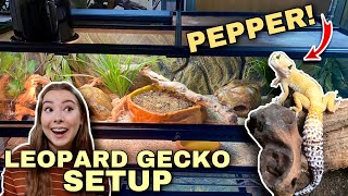 Setting Up A NEW Leopard Gecko Enclosure  Upgrade For Pepper [upl. by Robby477]