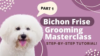 How to Groom a Bichon Frise  Bichon Frise Grooming Tutorial Part 1 [upl. by Yelyr470]