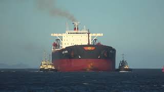 Ship Horn  Horn blast from bulk carrier ship 4K [upl. by Trow]