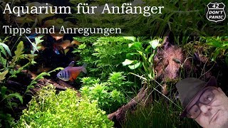 Aquarium für Anfänger und Einsteiger Tipps und Anregungen [upl. by Onitnelav]