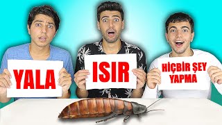 ISIRYALA VEYA HİÇBİR ŞEY YAPMA CHALLENGE  🤮 [upl. by Thorfinn666]