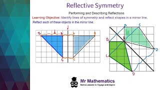 Reflective Symmetry  Mr Mathematics [upl. by Beora596]