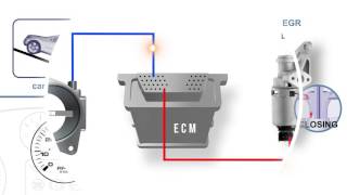 EGR Position Signal Voltage High [upl. by Pascia]