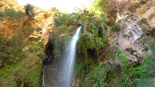 Ein Gedi and the Waterfall Of David [upl. by Leonora683]