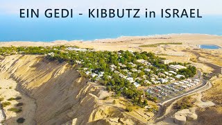 EIN GEDI is a KIBBUTZ on the western shore of the DEAD SEA in Israel [upl. by Perretta]