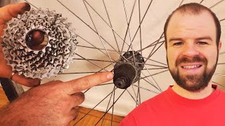 How to Remove the Cassette or Freewheel from Bike Wheels [upl. by Edmonds]