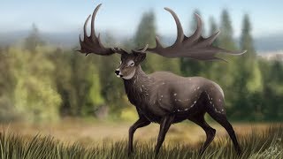 Megaloceros  The Grand Deer [upl. by Sucitivel392]