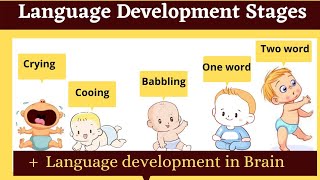 language development stages in childhood  babbling cooing [upl. by Socram969]