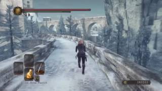 Dark Souls 2 SotFS  All Eleum Loyce Knight Locations [upl. by Dianemarie]