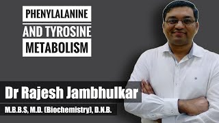 4 Phenylalanine and tyrosine metabolism [upl. by Annairda]