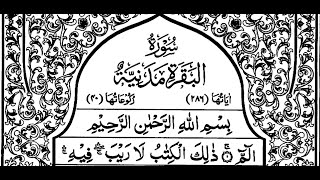 Surah AlBaqarah first amp last ruku  Sheikh Shuraim [upl. by Nyltac]