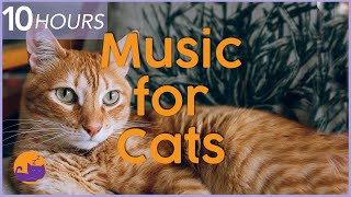 Music for Cats  10 hour Relaxing Cat Music Playlist to Help Cats Sleep and Relax 🐱 [upl. by Ado]